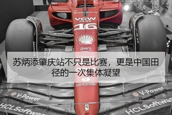 苏炳添肇庆站不只是比赛，更是中国田径的一次集体凝望